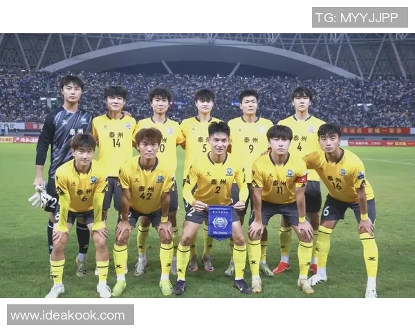 南京排球队以87分稳居联赛积分榜首位展现强劲实力