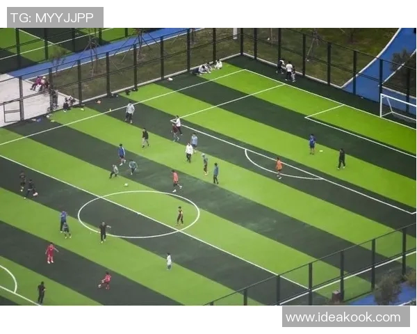 国内足球明星儿子成长记：从小球场到大舞台的奋斗与梦想