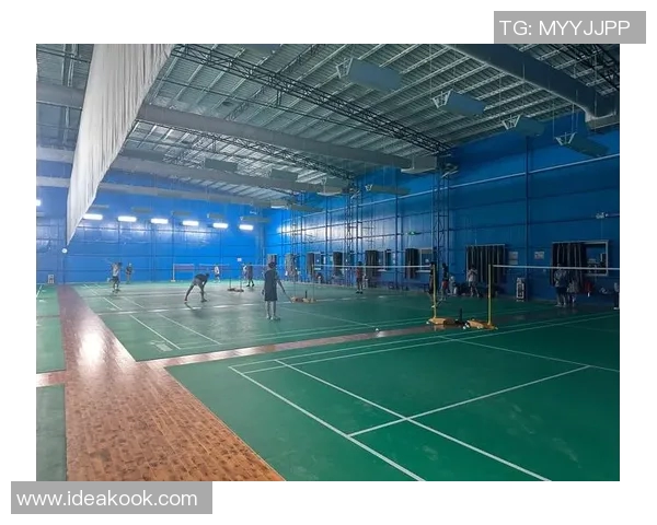 广州羽毛球队意识探讨与发展路径分析的深度研究